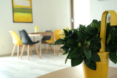 gallery-photo